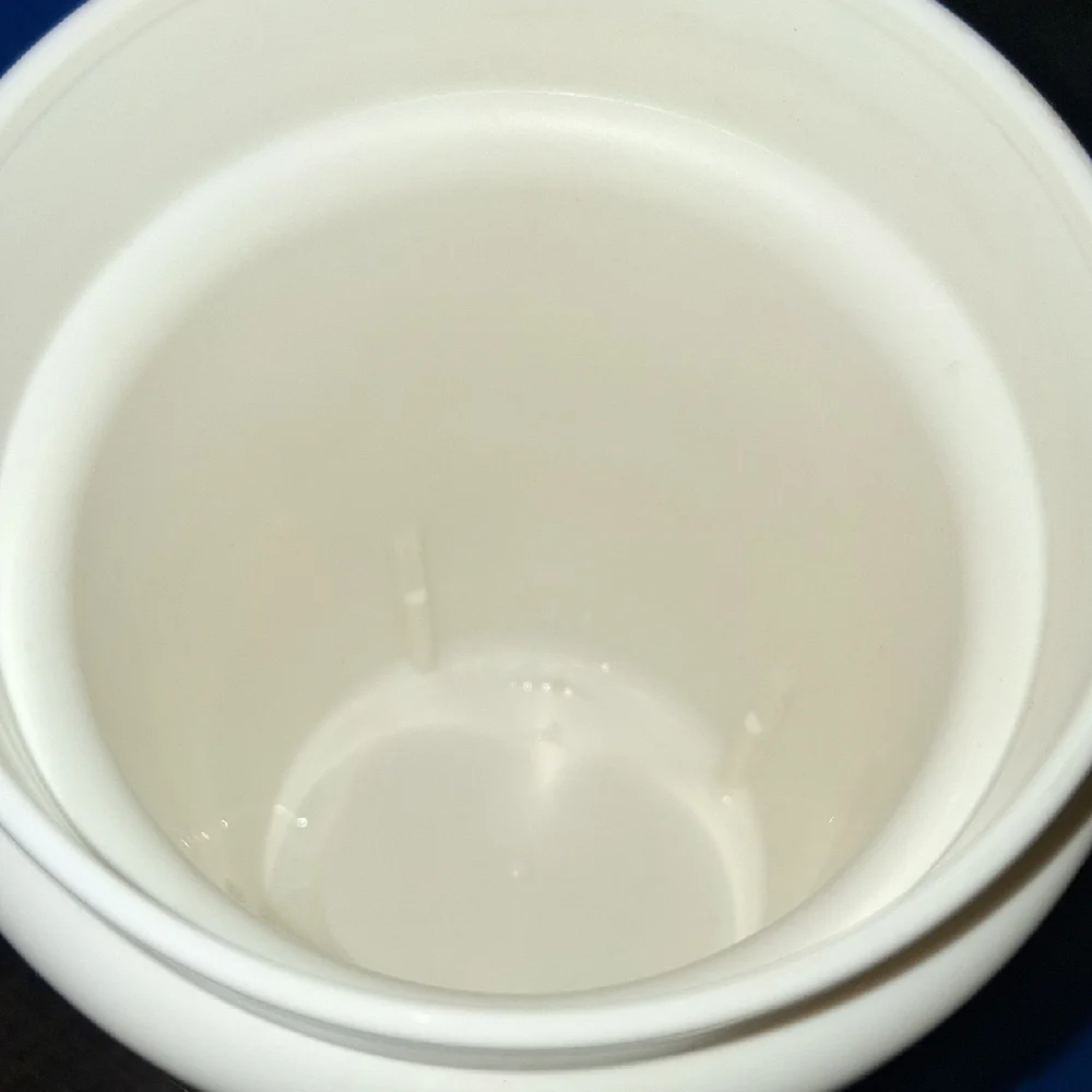 2003 Disney's Hilton Head Island Resort travel mug